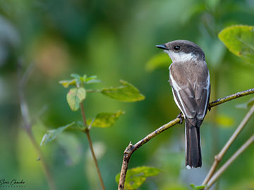 birders paradise